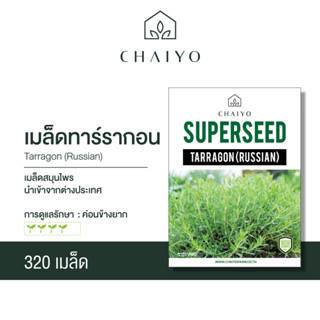 เมล็ด TARRAGON (Russian) ทาร์รากอน