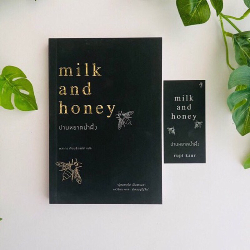 ปานหยาดน้ำผึ้งมือสอง milk and honey