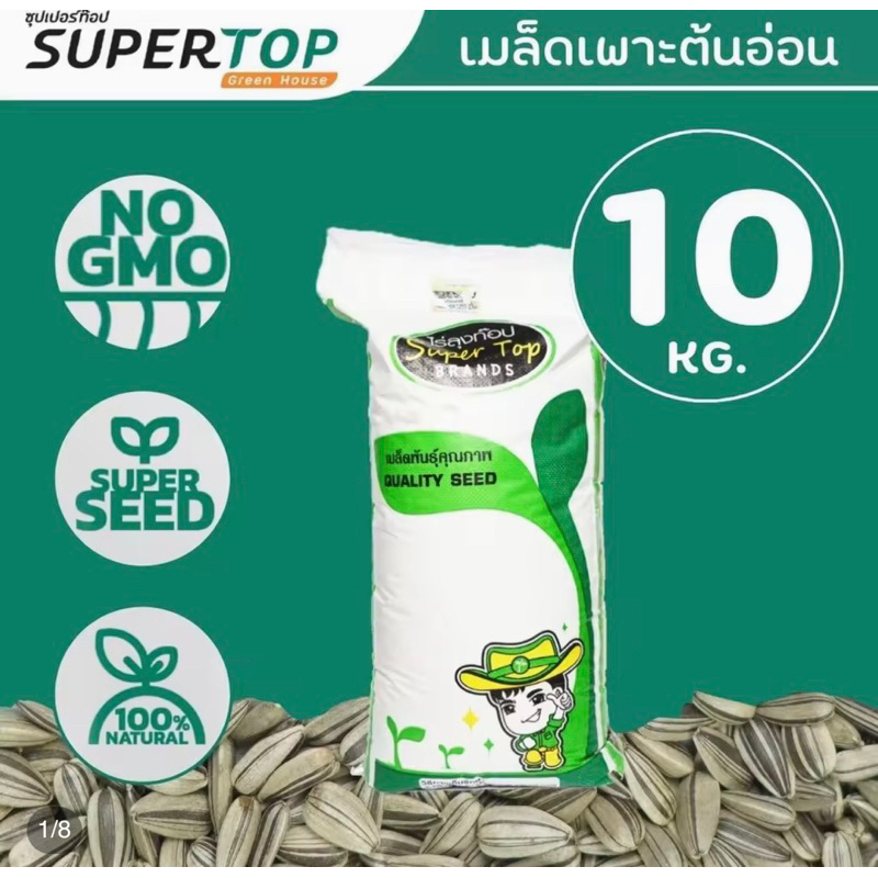 เมล็ดทานตะวันสำหรับเพาะต้นอ่อน (ลายไทยฤดูกาลใหม่ปี2569) กระสอบ 10 กิโล