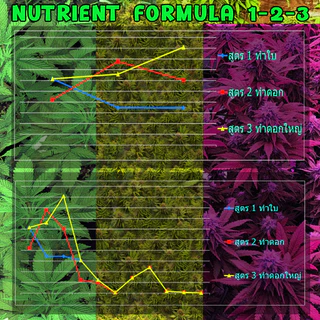 ปุ๋ยเร่งดอก ทำใบ Nutrients solution 420 สูตรทำใบ สูตรทำดอกและสูตรทำดอกใหญ่ ขนาด1000 ml