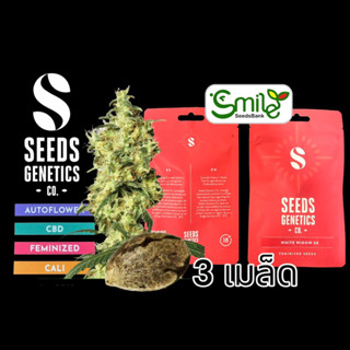 เมล็ดกัญชา Seeds Genetics - White Widow (Fem)