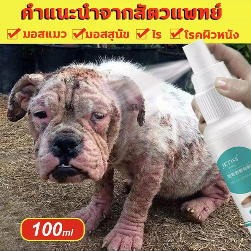 ใช้ได้ทั้งแมวและสุนัข ยาทาขี้เรื้อน สเปรย์รักษาขี้เรื้อน ยาขี้เรื้อนหมา ยาแก้ขี้เรื้อน 100ml หมา ชื้อราแมว ยารักษาขี้