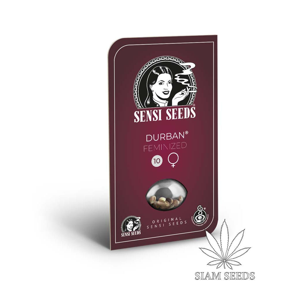 เมล็ดกัญชา Sensi Seeds Durban Fem Cannabis Seeds (Pack of 3)