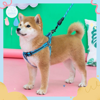 🌟Animal Pet Store🌟 🛒พร้อมส่ง📍สุนัขขนาดใหญ่ กลาง และเล็ก สายรัด ปอกคอสัตว์เลี้ยง สายจูงสัตว์เลี้ยงสุนัข สายรัดอกจูงหมา