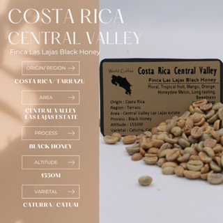 พร้อมส่ง เมล็ดกาแฟดิบ Costa Rica Central Valley Finca Las Lajas Black Honey Process/ เมล็ดกาแฟนอก/ เมล็ดกาแฟสารคอสตาริกา