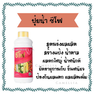 ปุ๋ยน้ำซีโฟ บำรุงผล เร่งการเติบโตผล ผลดกใหญ่ ยืดอายุการเก็บเกี่ยว ผลผลิตเพิ่ม