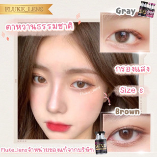 คอนแทคเลนส์ (มินิ) 💗 Rnp brown gray 💗 เลนส์กรองแสง แบรนด์ Wink ของแท้ ผลิตที่เกาหลี 🇰🇷