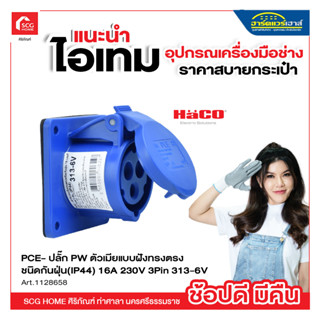 ปลั๊ก PW ตัวเมียแบบฝังทรงตรง ชนิดกันฝุ่น(IP44) 16A 230V 3Pin 313-6V  HACO