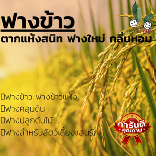 ฟางข้าว ORGANICARE แบ่งขายใส่ถุง ฟางข้าว ฟางข้าวแห้ง ฟางคลุมดิน ฟางปลูกต้นไม้ บรรจุแบบถุงใหญ่ น้ำหนักประมาณ 2.5-3 kg.