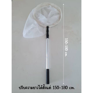สวิงจับแมลง (sweep net) ตาข่ายจับแมลง สำหรับสำรวจและเก็บตัวอย่างแมลง