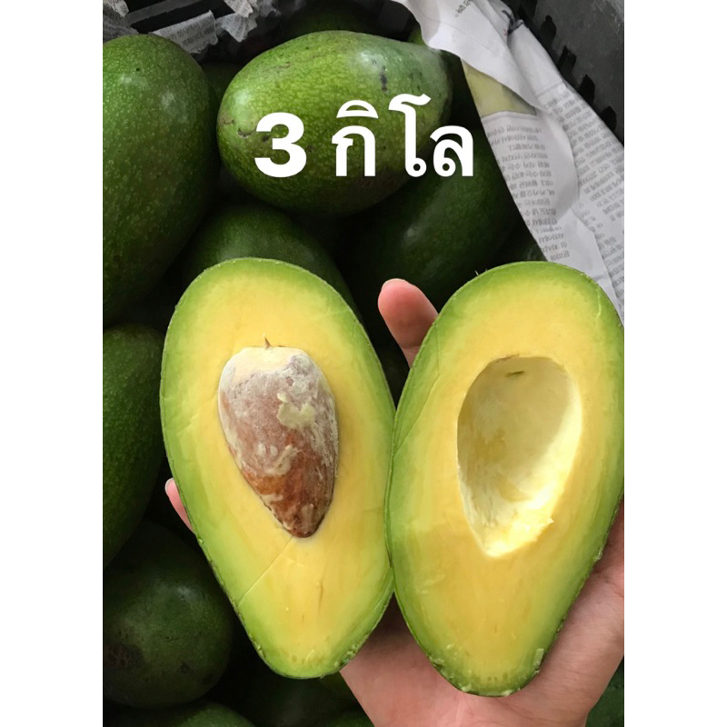 อะโวคาโด ( 3 โล ) พันธุ์พื้นเมือง เวียดนาม คัดพิเศษ เกรดA พรีเมียม🥑 ส่งจากเชียงใหม่ พื้นที่ห่างไกลงดเคลม