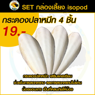 กระดองปลาหมึก ลิ้นทะเล เสริมแคลเซียมแร่ธาตุ สำหรับนก อาหารไอโซพอด isopod หนู กระรอก ปูเสฉวนบก กระดองหมึก