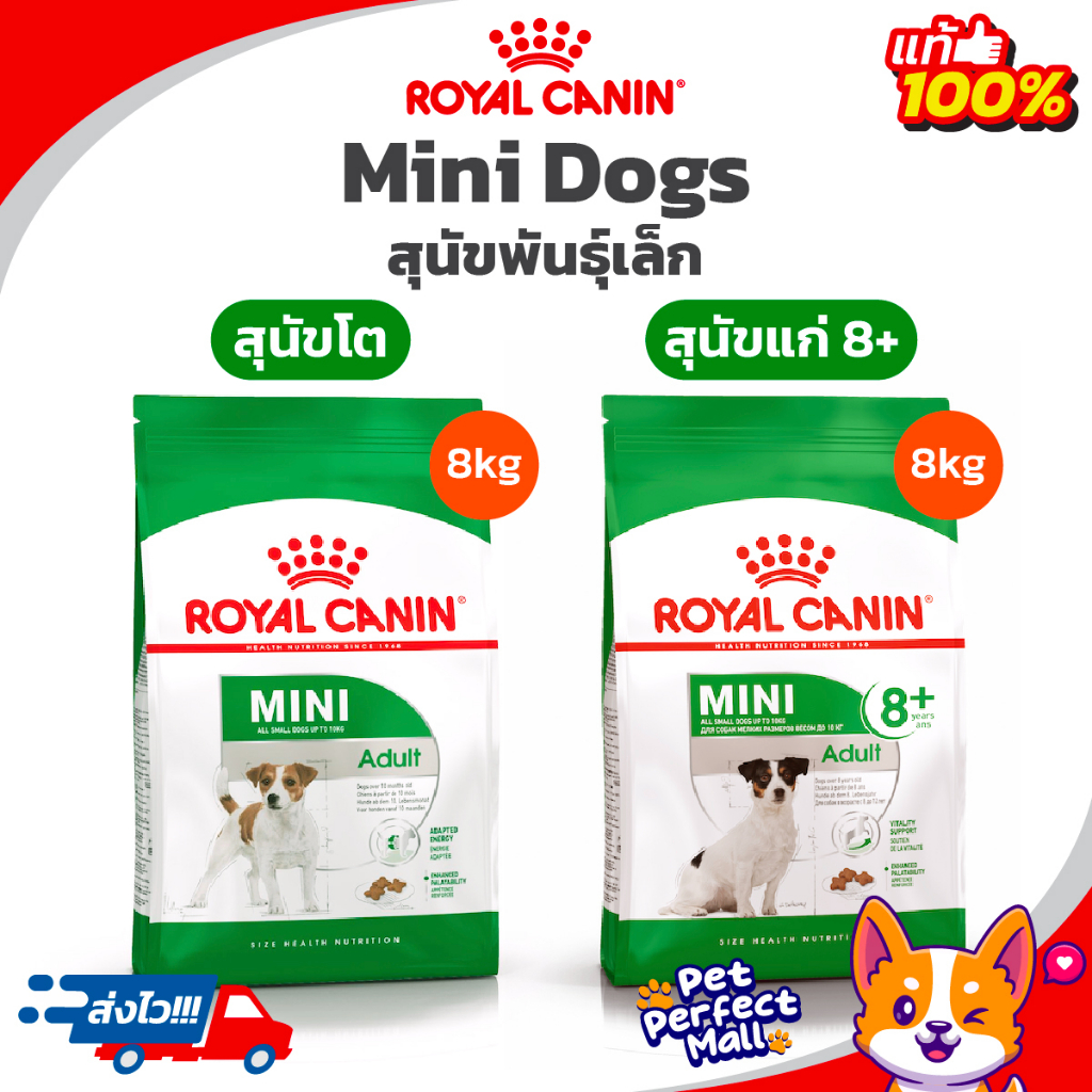 Royal Canin Mini Adult 8kg / Royal Canin Mini Adult 8+ ถุง 8kg  โรยัลคานิน สุนัขพันธุ์เล็ก ถุง 8 กก.