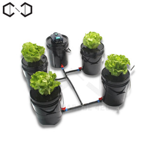 ชุดปลูกครบเซ็ท Hydroponic Grow System Deep Water Culture (DWC) Complete Kit (4 Bucket + Reservoir Kit) full set