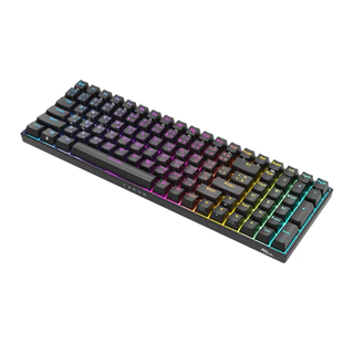 ภาพใหญ่: Royal Kludge RK100 RK860 Bluetooth 5.0 และ 2.4G RGB Hot Pluggable Mechanical Keypad