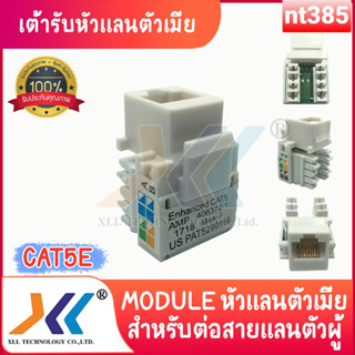 amp cat5e หัวเต้ารับตัวเมีย Female หัวแลนCAT5eตัวเมีย JACK RJ45 outlet หน้ากาก 2 ช่อง "face plate"