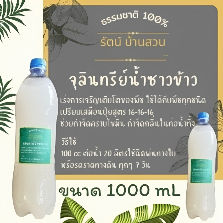 (1500 mL) จุลินทรีย์น้ำซาวข้าว สูตรดั้งเดิม ปุ๋ยน้ำ ช่วยให้พืชเจริญเติบโตได้ดีขึ้น และยังเป็นการฟื้นฟูดินได้ดี