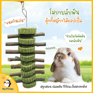 โมบายลับฟัน ของเล่น กระต่าย แกสบี้ ชินชิลล่า กระรอก แพรี่ด๊อก หนู ของเล่นสัตว์เลี้ยง อาหารสัตว์ ขนมกระต่าย