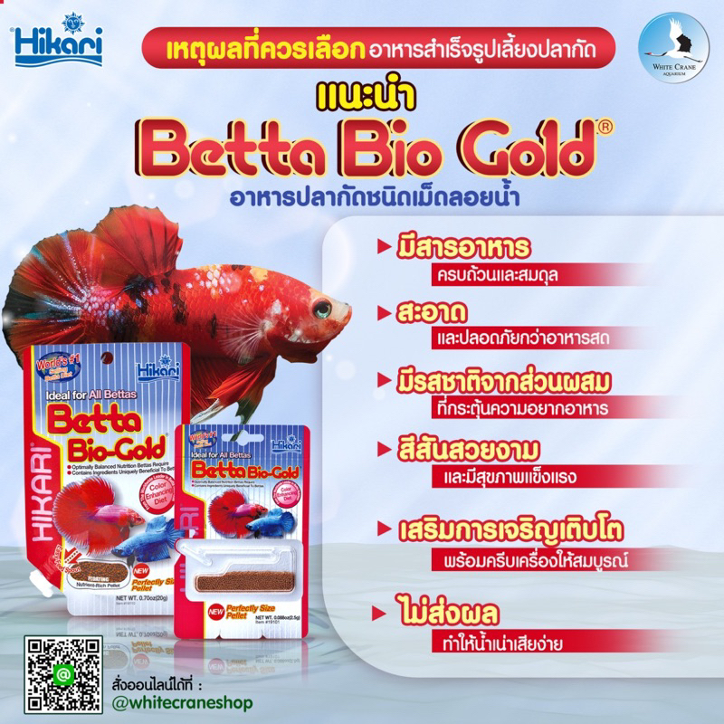 Betta Bio-gold อาหารปลากัด เม็ดลอยน้ำ น้ำไม่เสีย สารอาหารครบครัน