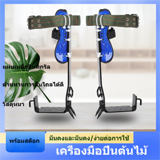 【มีสินค้า】อุปกรณ์ปีนต้นไม้, อุปกรณ์ปีนเสาไม้, รองเท้าปีนต้นไม้และเครื่องมือปีนต้นไม้, ตะขอเท้าไฟฟ้า, หัวเข็มขัดเท้า