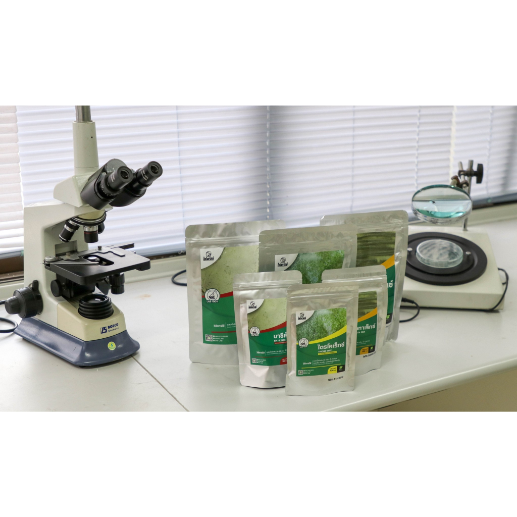 ยากำจัดหนอนทุกชนิด กำจัดหนอนกระทู้ หนอนบุ้ง หนอนชอนใบ หนอนใยผัก ใช้เชื้อบาซิลัส ทูริงเยนซิส (บาซีเร็กซ์) ปลอดภัย 100% - รูปที่ 4