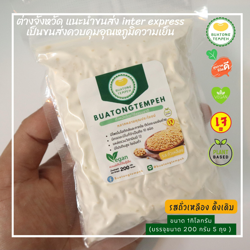 tempeh Fresh original วีแกน เจ มังสวิรัติ เทมเป้ สด รสชาติ ดั้งเดิม