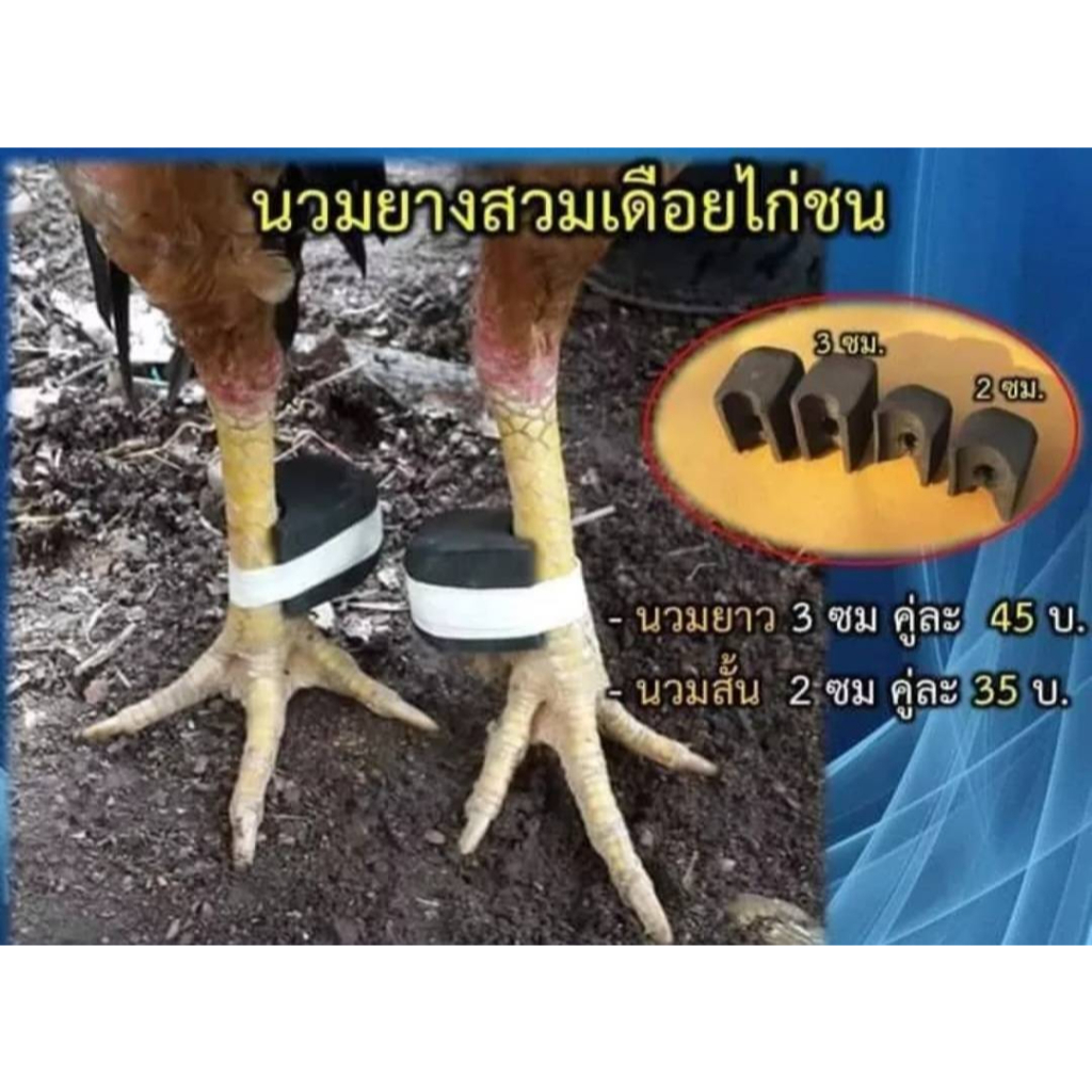 นวมยางสวมเดือยไก่ชนแบบยาง ขนาด 2 ซ.ม. และ 3 ซ.ม. สำหรับไก่ชน มีสิทธิบัตร