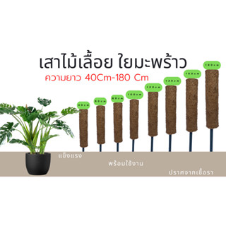 เสาไม้เลื้อย เสาใยมะพร้าว เสาหลักปักต้น เสายึดต้นไม้ ท่อ PVC สีดำ ขนาด1/2นิ้ว (4หุน)