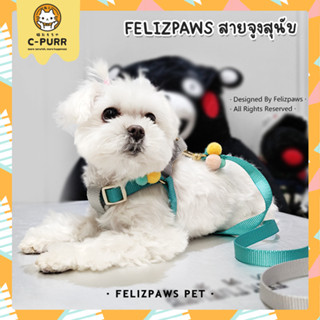 Felizpaws ชุดสายจูง สายจูงสุนัข ทูโทน สำหรับสุนัขพันธุ์เล็ก ตกแต่งปอมปอม