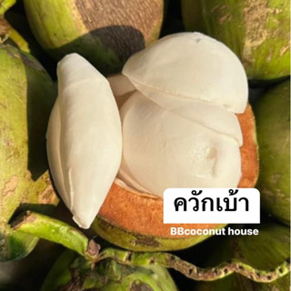 เนื้อมะพร้าวน้ำหอม แบบแผ่น ชั้นครึ่ง-สองชั้น (บรรจุ1กิโลกรัม)