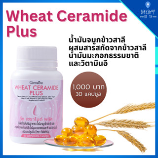 วีท เซราไมด์ น้ำมันจมูกข้าว จมูกข้าวสาลี ผสมน้ำมันมะกอกธรรมชาติ วิตามินอี จมูกข้าวแคปซูล ผิวสวย สุขภาพ Wheat Ceramide