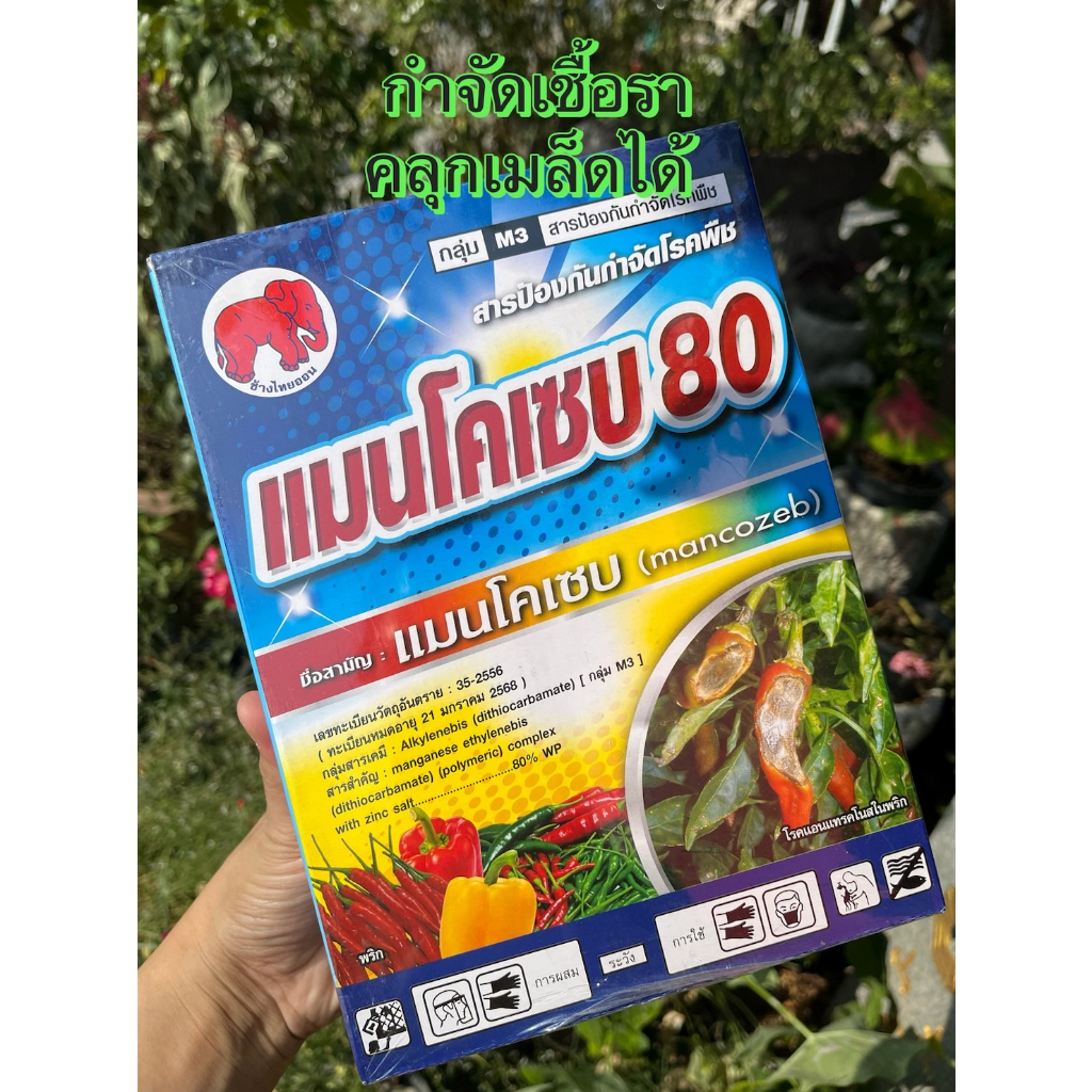 แมนโคเซบ 80%  ป้องกันกำจัด เชื้อรา ราสนิม ราแป้ง ราหลุม ราดำ โรคใบจุด โรคแอนเทคโนส โรคแคงเกอร์ (1 กิโลกรัม)