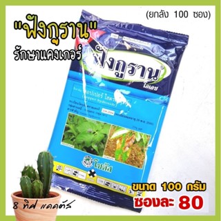 ฟังกูราน 100 กรัม // รักษาแคงเกอร์ โรคใบไหม้ คอปเปอร์ ไฮดรอกไซด์ กันรา กันเชื้อรา ยา แคคตัส