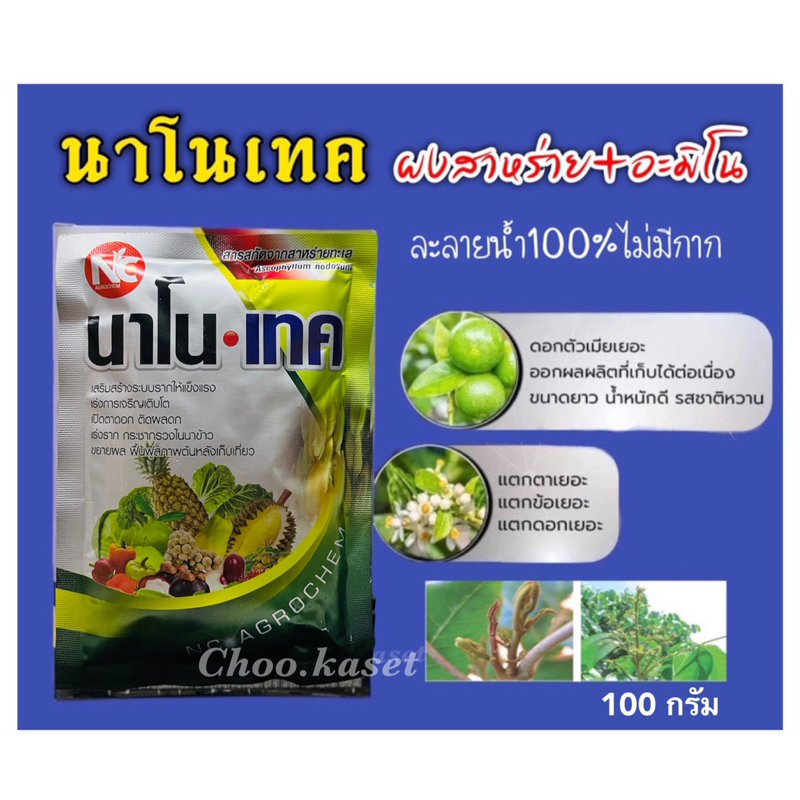นาโน-เทค ผงสาหร่าย+กรดอะมิโน 17 ชนิด #ไซโตไคนิน #ซันซีแพค(100 กรัม)