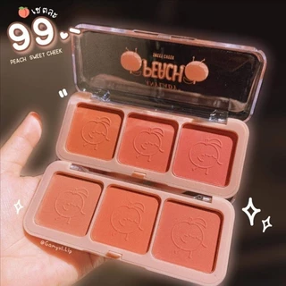 บลัชออน ปัดแก้มไฮไลท์ Anylady​ Baked Blusher​ 4 เฉดสี เนื้อชิมเมอร์ ปัดแก้มหน้าเงา ติดทน กันน้ำ กัน​เหงื่อ​