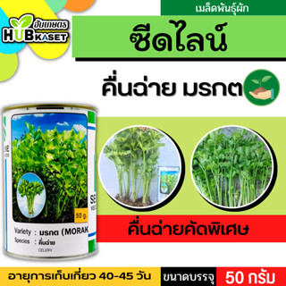 ซีดไลน์ 🇹🇭 คื่นฉ่ายคัดพิเศษ มรกต ขนาดบรรจุ 50 กรัม อายุเก็บเกี่ยว 40-45 วัน