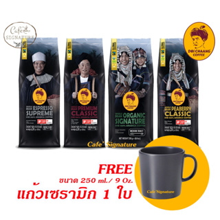 *รุ่นใหม่* แถมแก้ว Doi Chaang Coffee เมล็ดกาแฟดอยช้าง อราบิก้า จากไร่ดอยช้าง จ.เชียงราย 100% เมล็ดกาเเฟสดคั่ว 4 แบบ