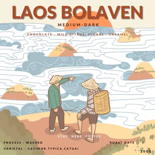 เมล็ดกาแฟคั่วกลาง-เข้ม Laos Bolaven (เกรดพรีเมี่ยม)เมล็ดไซต์A