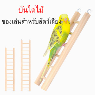 บันไดไม้ ของเล่นนกแก้ว 5 ชั้น ของเล่นสำหรับสัตว์เลี้ยง นกแก้ว กระรอก ผลิตจากไม้ธรรมชาติ ไร้สารเคลือบ สามารถกัดแทะได้ ปลอ