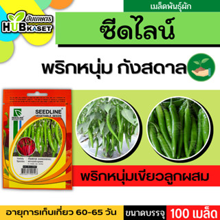 ซีดไลน์ 🇹🇭 พริกหนุ่มเขียวลูกผสม กังสดาล ขนาดบรรจุประมาณ 100 เมล็ด อายุเก็บเกี่ยว 65-50 วัน