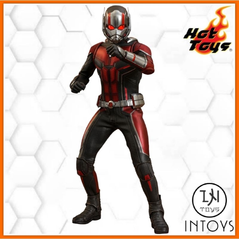 HOT TOYS -​ ANT MAN​ -​ MMS 497 : ANT MAN AND THE WASP