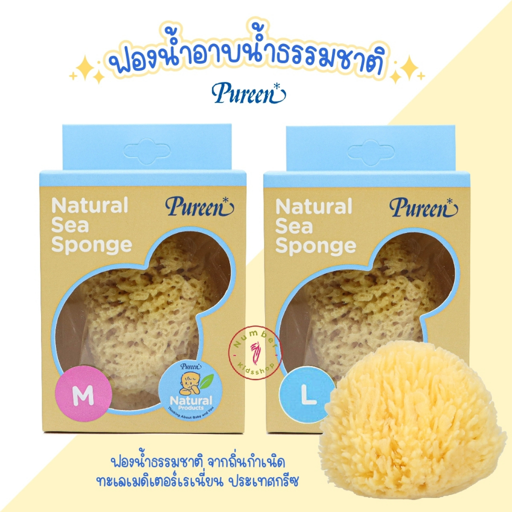 PUREEN (เพียวรีน) ฟองน้ำอาบน้ำธรรมชาติ ฟองน้ำอาบน้ำเด็ก เพียวรีน ไซส์M,L,XL