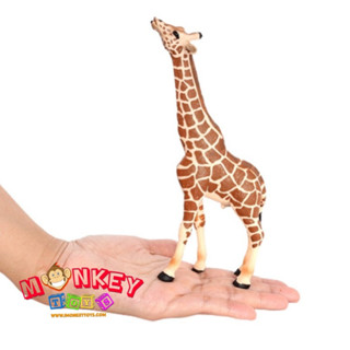 Monkey Toys - โมเดลสัตว์ ยีราฟ ขนาด 17.50 CM (จากหาดใหญ่)