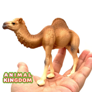 Animal Kingdom - โมเดลสัตว์ อูฐ หนอกเดียว ขนาด 14.20 CM (จากหาดใหญ่)