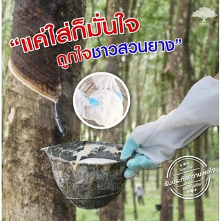 (พร้อมส่ง‼️) ถุงมือเก็บขี้ยาง pvc 1โหล(12คู่) ถุงมือกรีดยางไม่ติดมือ100% อเนกประสงค์ ใช้ซ้ำได้หลายรอบ