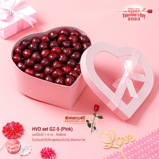 HVD set GZ-5 (Pink) Cherry