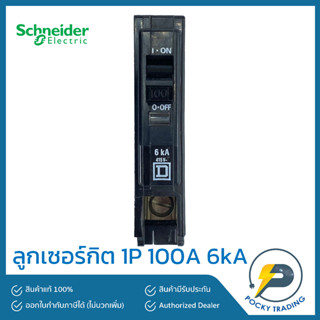 Schneider ลูกเซอร์กิตเบรกเกอร์ลูกย่อย 1P 100A (IC) 6kA