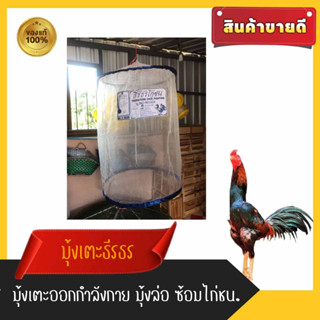 มุ้งเตะธีรธร #มุ้งเตะซ้อมไก่ ล่อไก่ #มุ้งเตะไก่