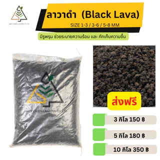 ✅ส่งฟรี หินลาวาดำ หินลาวาแดง (Volcanic rock)