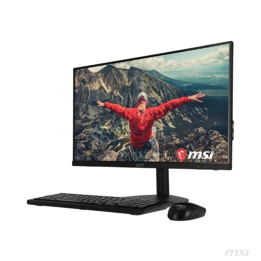 (AIO) MSI PRO AP241 11M-043TH